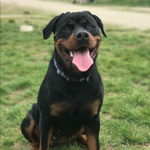 Meet your Posher, Madison